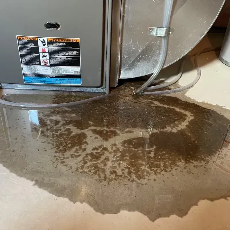 Appliance Leak Cleanup in Wolcott, CT